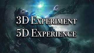 Phil Good  3D Experiment 5D Experience [upl. by Armat647]