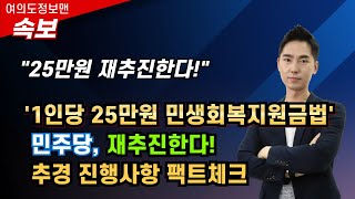 속보25만원 민생회복지원금 재추진한다 추경 현재진행사항 팩트체크  여정가족님들의 의견은 [upl. by Elinnet]