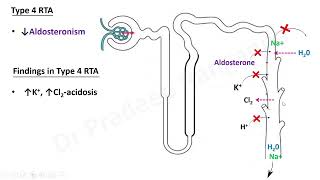 RTA Renal Tubular Acidosis [upl. by Lan]