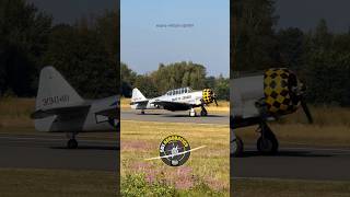 TEXAN T6 WARBIRD turning ww2 history oldtimer [upl. by Giulietta]