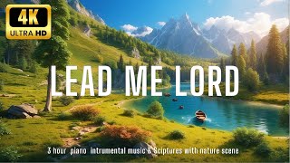 LEAD ME LORD Instrumental Worship amp Prayer Music With Scriptures amp Nature🌿Bible  Sleep Meditations [upl. by Aihsak]