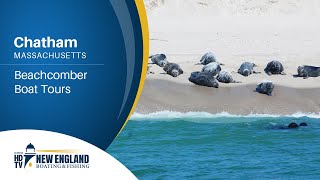 New England Boating Chatham  Beachcomber Boat Tours [upl. by Kerge951]