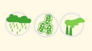 Factors That Affect the Rate of Photosynthesis Biology for All FuseSchool [upl. by Odey622]