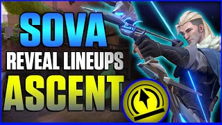 BEST SOVA REVEAL LINEUPS FOR ASCENT [upl. by Lessig]