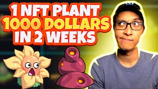 Plant VS Undead  Get Your 1st NFT Plant With Just 23 PVU Exclusive Event [upl. by Inttirb]