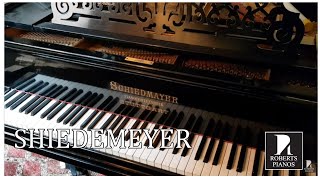 Assessment of Schiedmayer grand piano c1883 black [upl. by Aubreir]