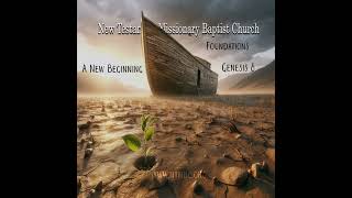 Foundations A New Beginning Genesis 8 [upl. by Floris]