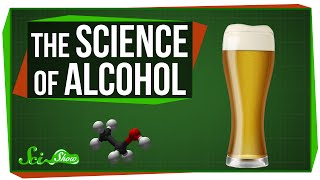 The Science of Alcohol From Beer to Bourbon [upl. by Leisha416]