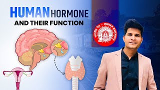 Human hormone and their function sciencebyneerajjangid [upl. by Eneles]