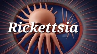 Characteristics of Rickettsia in short  PYQ  Sem 3 B Pharmacy  Microbiology [upl. by Ecreip]