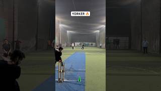 Speed Sensation Bowling Moments 🔥 Cricket Pace Bowlers Yorkers Changed Match cricket shorts [upl. by Lamrert17]