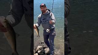 Bonneville Dam Shad fishing columbiariver shadfishing [upl. by Cole741]