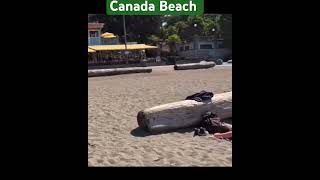 Canada Bikini Beach Area Canadacanada shorts short viralshorts trending [upl. by Innos501]