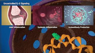 JAKSTAT Signaling Transduction Pathways [upl. by Lay671]