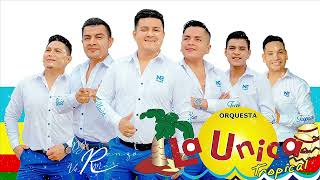 MIX EXITOS LA UNICA TROPICAL  DJ RENZO VERMAR [upl. by Stepha460]