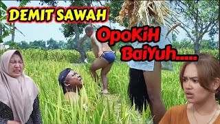 WOKO CHANNEL TERBARU HARI INI  DEMIT SAWAH ETAN KALI ⁉️ [upl. by Aiouqes241]