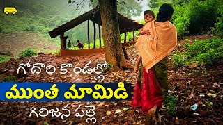 Muntha Mamidi  A Tribal Village in Godavari Forest ముంత మామిడి  అడవిలో కొండరెడ్డి గిరిజన పల్లె [upl. by Holbrook]