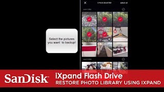 iXpand Flash Drive  Manual Copy from iPhone to iXpand Frive [upl. by Blackman]