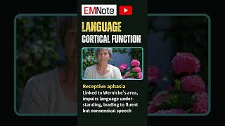 Aphasia Language Dysfunction [upl. by Tania]