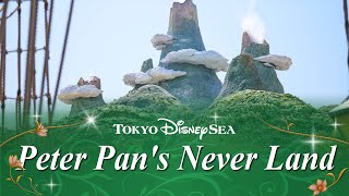 Tokyo DisneySea ファンタジースプリングス ピーターパンのネバーランド BGM [upl. by Oliver]