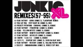 Fear Factory  Descent Junkie XL falling Deeper Mix [upl. by Irahs]