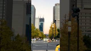 Tokyo beside Imperial palace japan travel japanwalk foryou viralshorts shorts [upl. by Liebman]