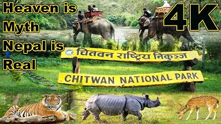 Chitwan National Park Nepal 4K [upl. by Halimaj]