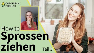 Sprossen selber ziehen im Sprossenglas  Sprossensamen Tutorial Teil 3 [upl. by Nylra211]