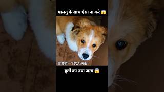 प्यारा कुत्ता और उसके पिछले जन्म की यादें 😱  short anime dog movie cartoon [upl. by Jordana]