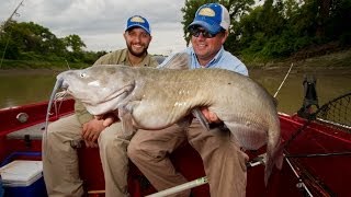 Trophy Channel Catfish Tactics [upl. by Nylcoj758]