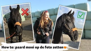 HOW TO paard mooi op de foto zetten  6 TIPS  30  Epplejeck [upl. by Theall]