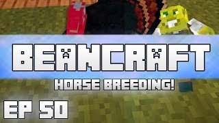 Horse Breeding  BeanCraft Episode 50 [upl. by Bara]