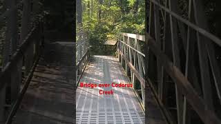 Bridge over Codorus Creek at Mary Ann Furnace Trail dayhikingandherpingdudes [upl. by Notloc]