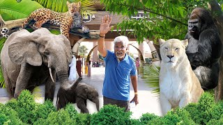 DADs DAY at DUBAI ZOO 🦁🔥 [upl. by Washington171]