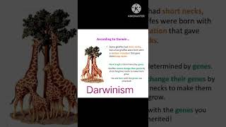 Quick learn Darwinism Evolution class 12 youtubeshorts biology trendingshorts trend viral [upl. by Mota594]