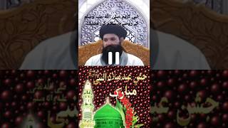 Nabi PaksawK Roza e Rasool Pe Salam Ki Fazeelatshortssalam [upl. by Aihsiek314]