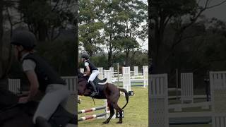 Raw from my show 50cm horses showjumping [upl. by Asiled547]