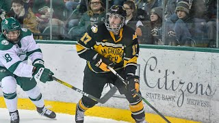 Hockey Highlights  Tech at Bemidji State  Jan 18 2020 [upl. by Ransome]