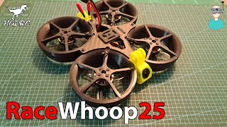 The Flying Tank  HGLRC Racewhoop25 [upl. by Wahlstrom]