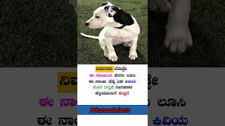 Kannada facts 🧠 kannada factsinkannada kannadafacts karnataka shorts [upl. by Mide64]