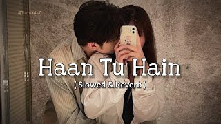 Haan tu hain Slowed amp Reverb Jannat  Kk  Emraan Hashmi  haan tu hai song Lofi [upl. by Meador]