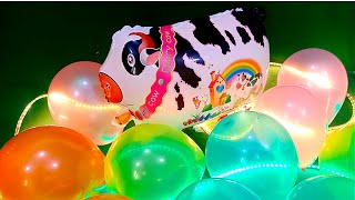 Balloon Inflating And Popping Sounds ASMR Video For Satisfying [upl. by Cusick61]