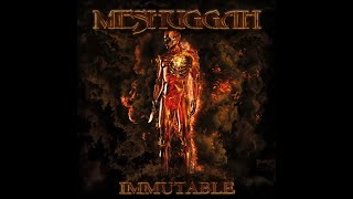 MESHUGGAH  IMMUTABLE 2022 FULL ALBUM HIGHEST QUALITY VINYL RIP [upl. by Yeniar]