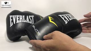 Обзор боксерских перчаток Everlast Elite Pro Style [upl. by Ytrebil]