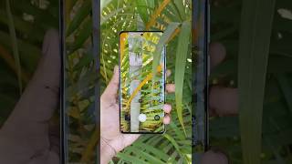 Realme 12 Pro Curve Display shorts [upl. by Ekud]