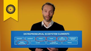 Entrepreneurial Ecosystems  Knowledge in Entrepreneurial Ecosystems [upl. by Enneyehs]