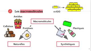 Les macromolécules [upl. by Bolanger]