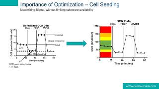 ​Tools for Characterizing Metabolic Change in CellBased Systems [upl. by Nydia]