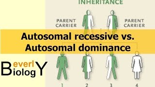 Autosomal Recessive vs Autosomal Dominance [upl. by Dias]