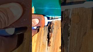 Abatron Liquid wood woodrotdeckrepair diy howto woodrot woodrefinishing [upl. by Tterab]